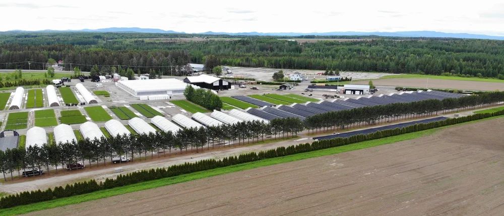 Vue aérienne de la Pépinière Boucher à Saint-Ambroise